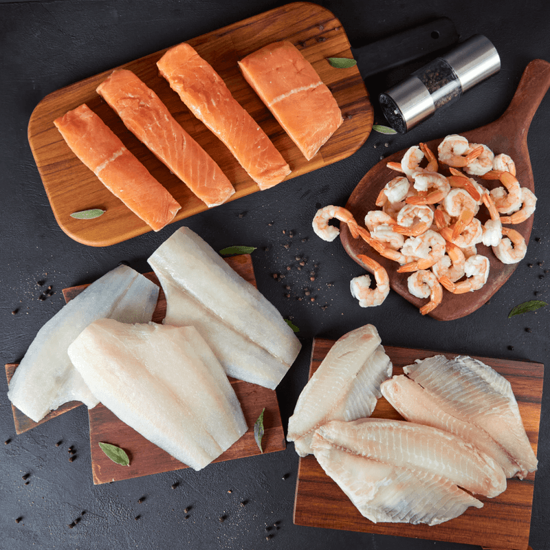 kit-pescados